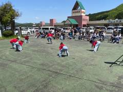image-slider-with-thumbnail7.jpeg